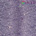 50% па, 50% люрекс+ микропайетки, Siyue, Lurex Sequins   1800м/50гр,  сиреневый + голографическая пайетка, № 22